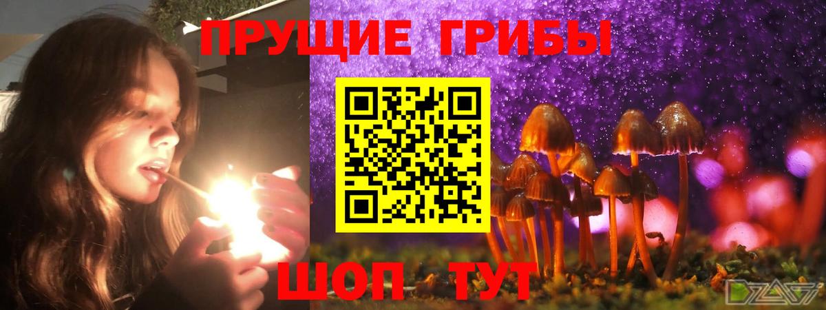 Галлюциногенные грибы ЛСД Урай